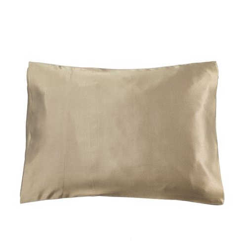 Silk Travel Pillow & Pillowcase Set (model:TPS3104)
