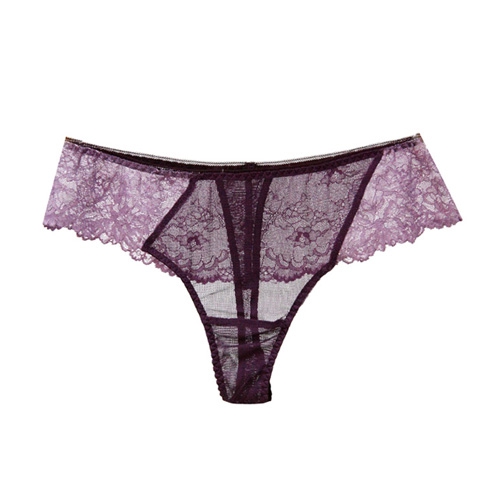Shorty String en Soie Tulle Fantaisie et Dentelle Prune